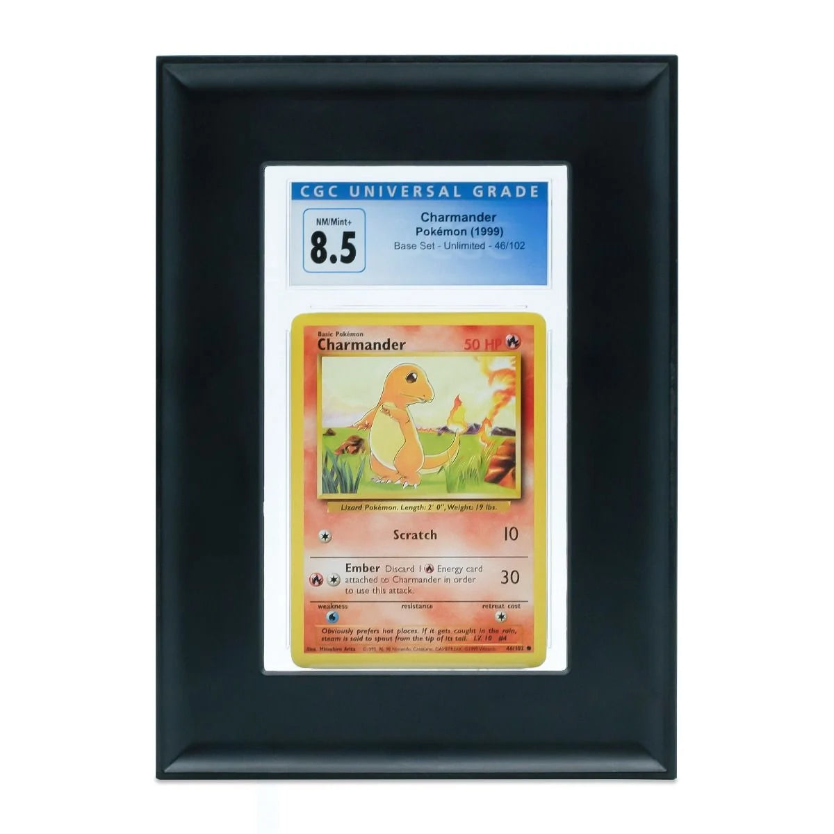 Black BCW Interlocking Graded Card Frames for displaying and protecting collectible cards.