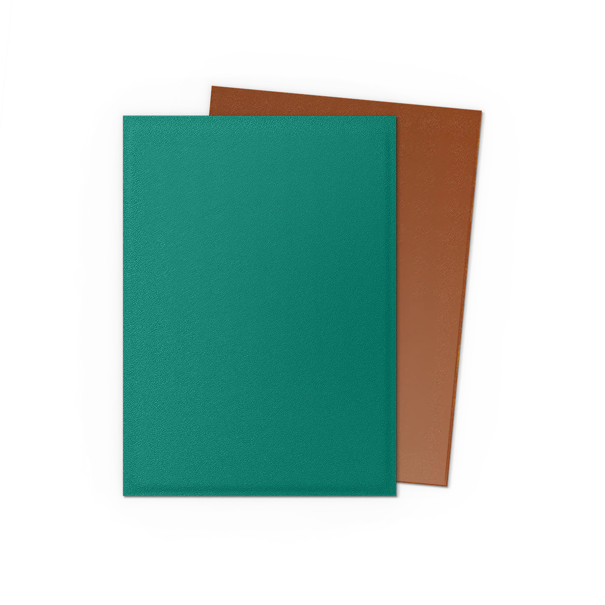 Dragon Shield Power and Copper Dual Matte Standard Sleeves, showing black and copper card sleeves with matte finish design.
