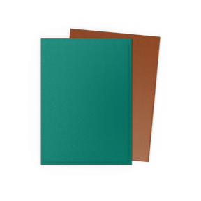 Dragon Shield Power and Copper Dual Matte Standard Sleeves, showing black and copper card sleeves with matte finish design.