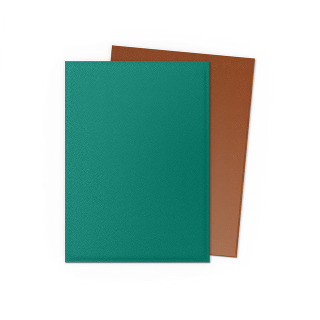 Dragon Shield Power and Copper Dual Matte Standard Sleeves, showing black and copper card sleeves with matte finish design.